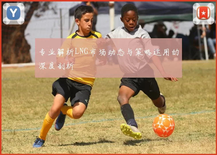专业解析LNG市场动态与策略运用的深度剖析