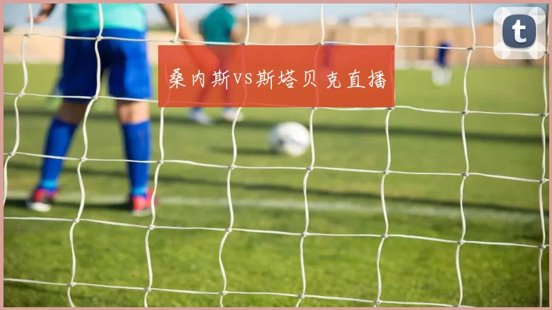 桑内斯vs斯塔贝克直播