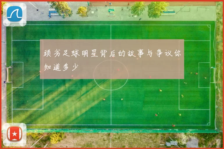 顽劣足球明星背后的故事与争议你知道多少