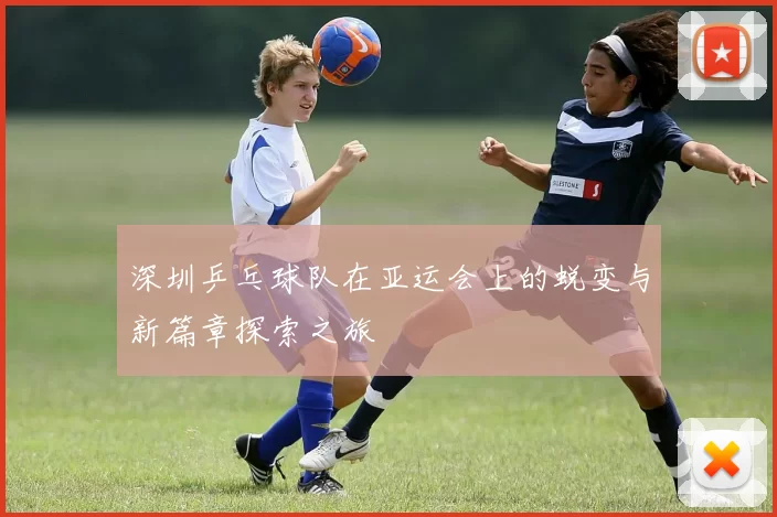 深圳乒乓球队在亚运会上的蜕变与新篇章探索之旅